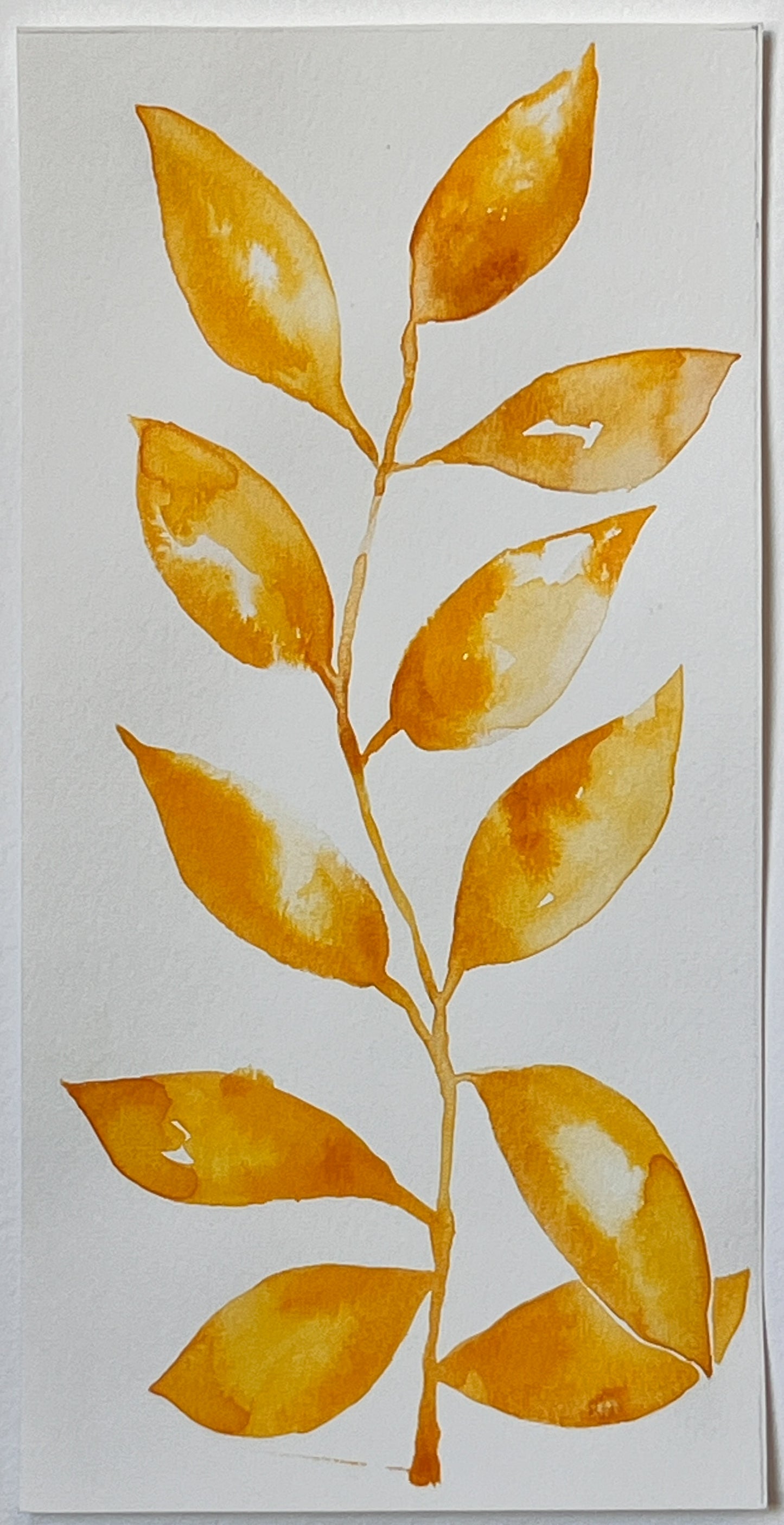 Flora 13 | 12" x 6"