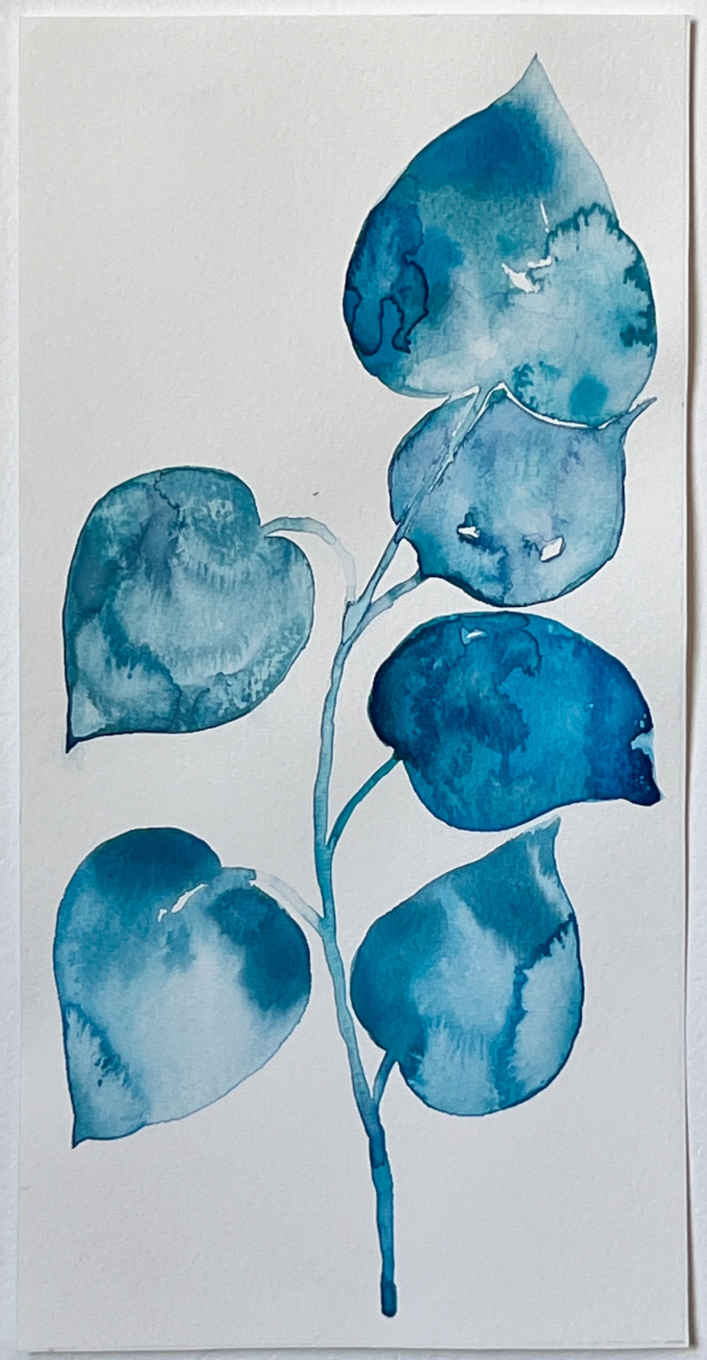 Flora 15 | 12" x 6"