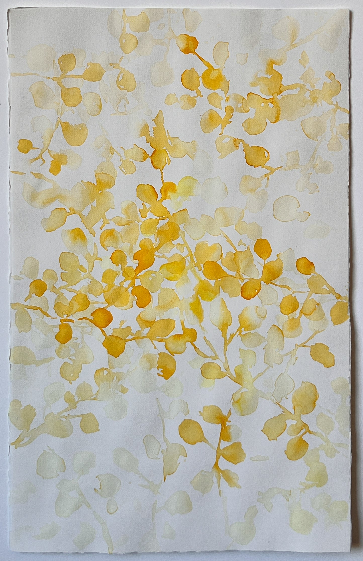 Shadow Play 4 | 32" x 20"