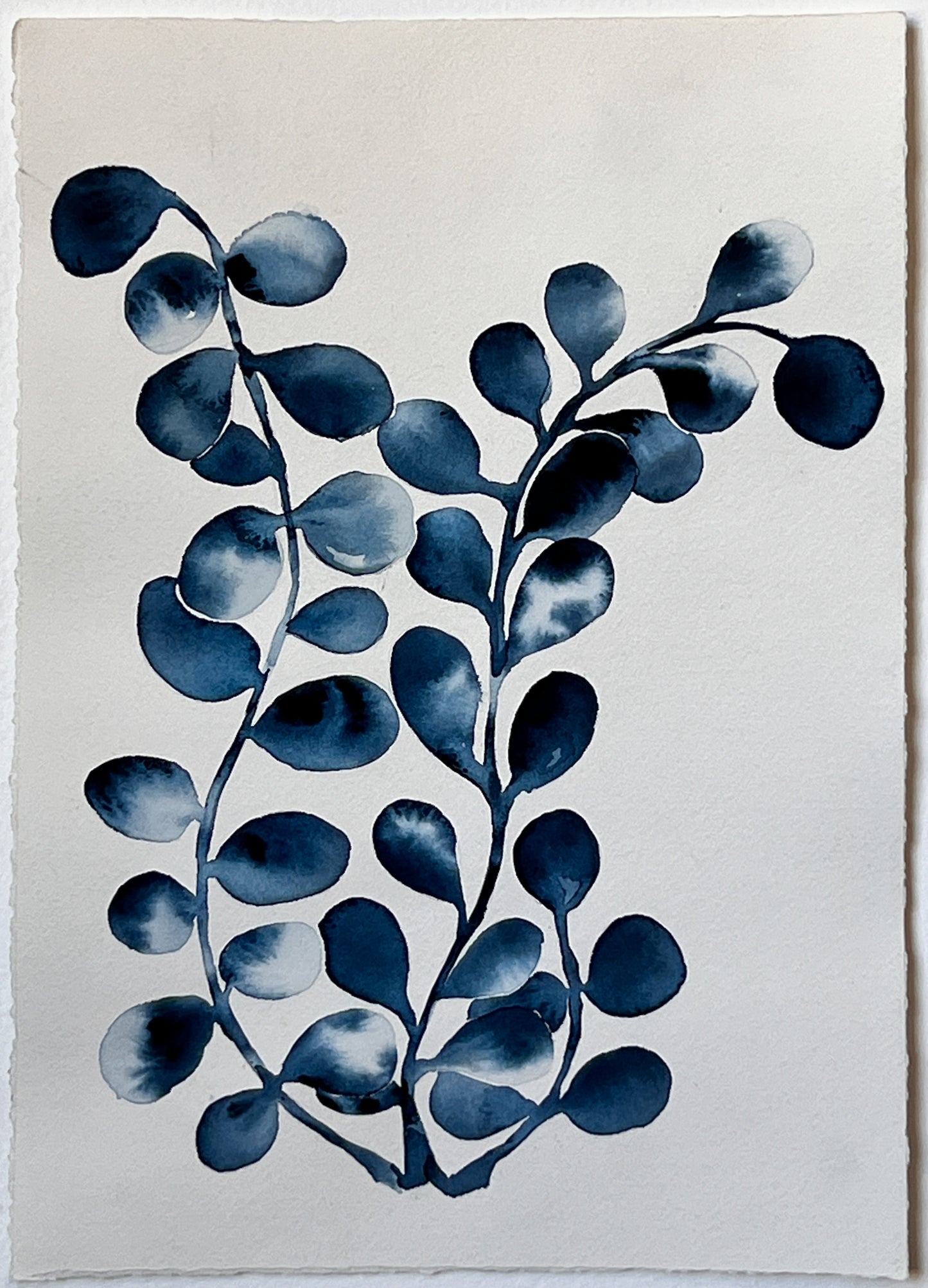 Flora 11 | 12" x 8.5"