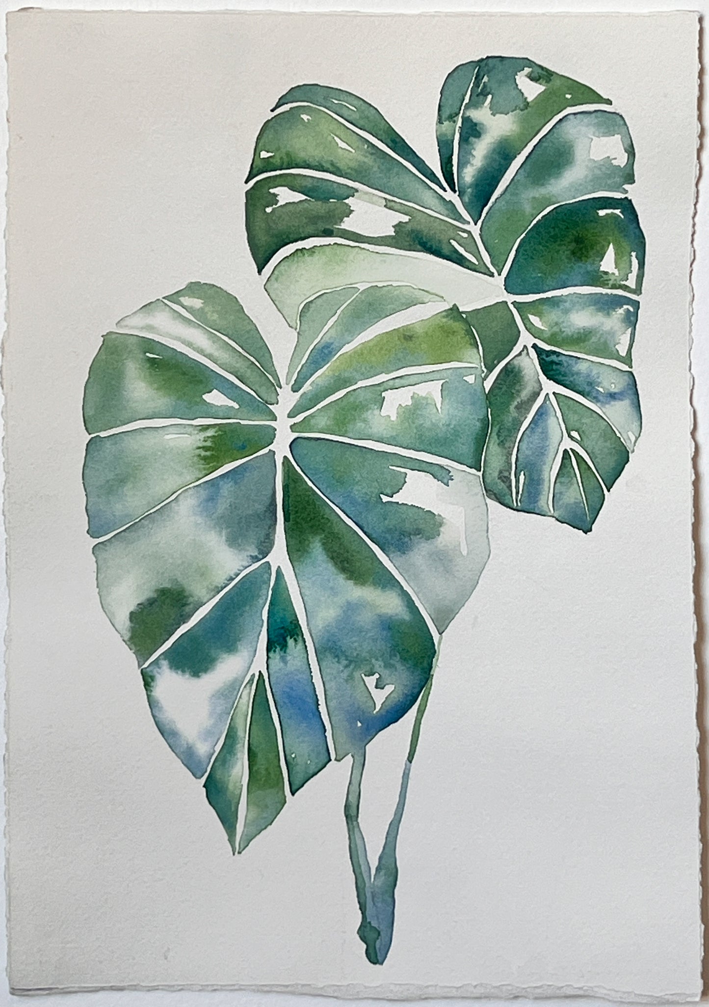 Flora 12 | 12" x 8.5"
