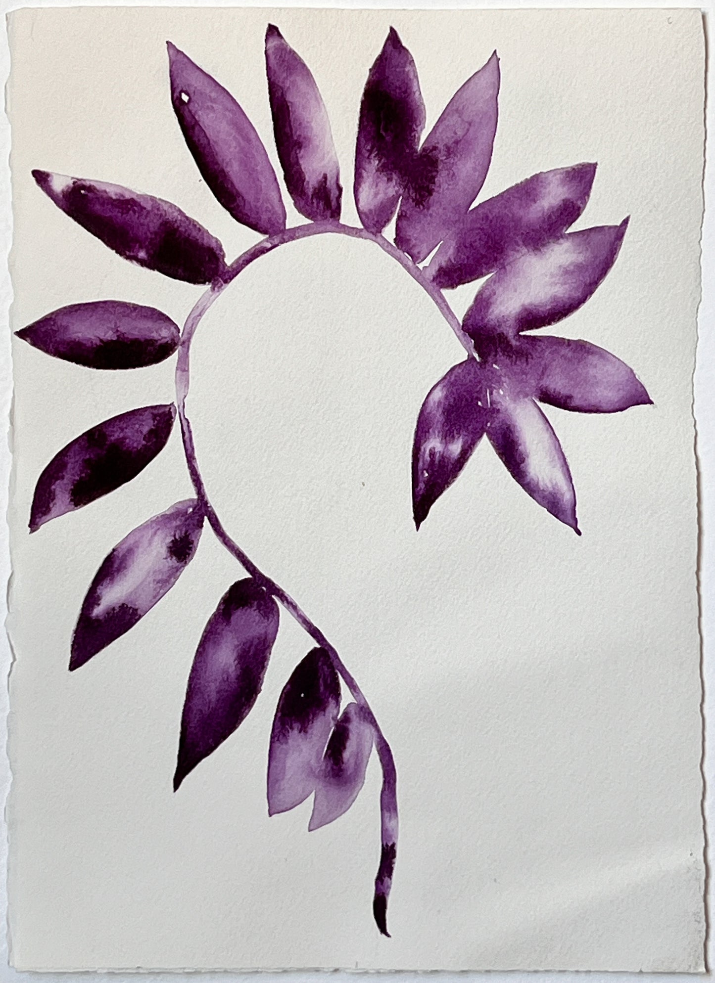 Flora 4 | 12" x 8.5"
