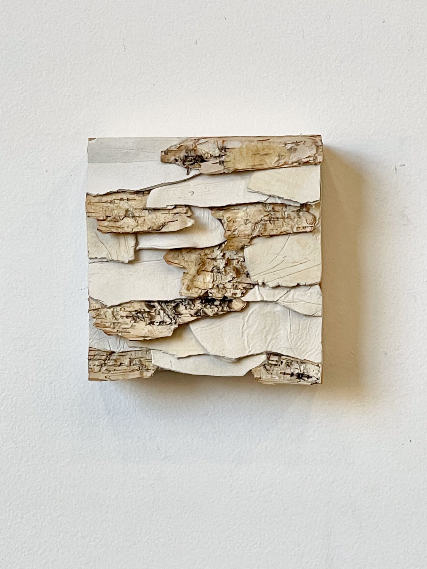 Sculptural Mini 4 | 5" x 5"