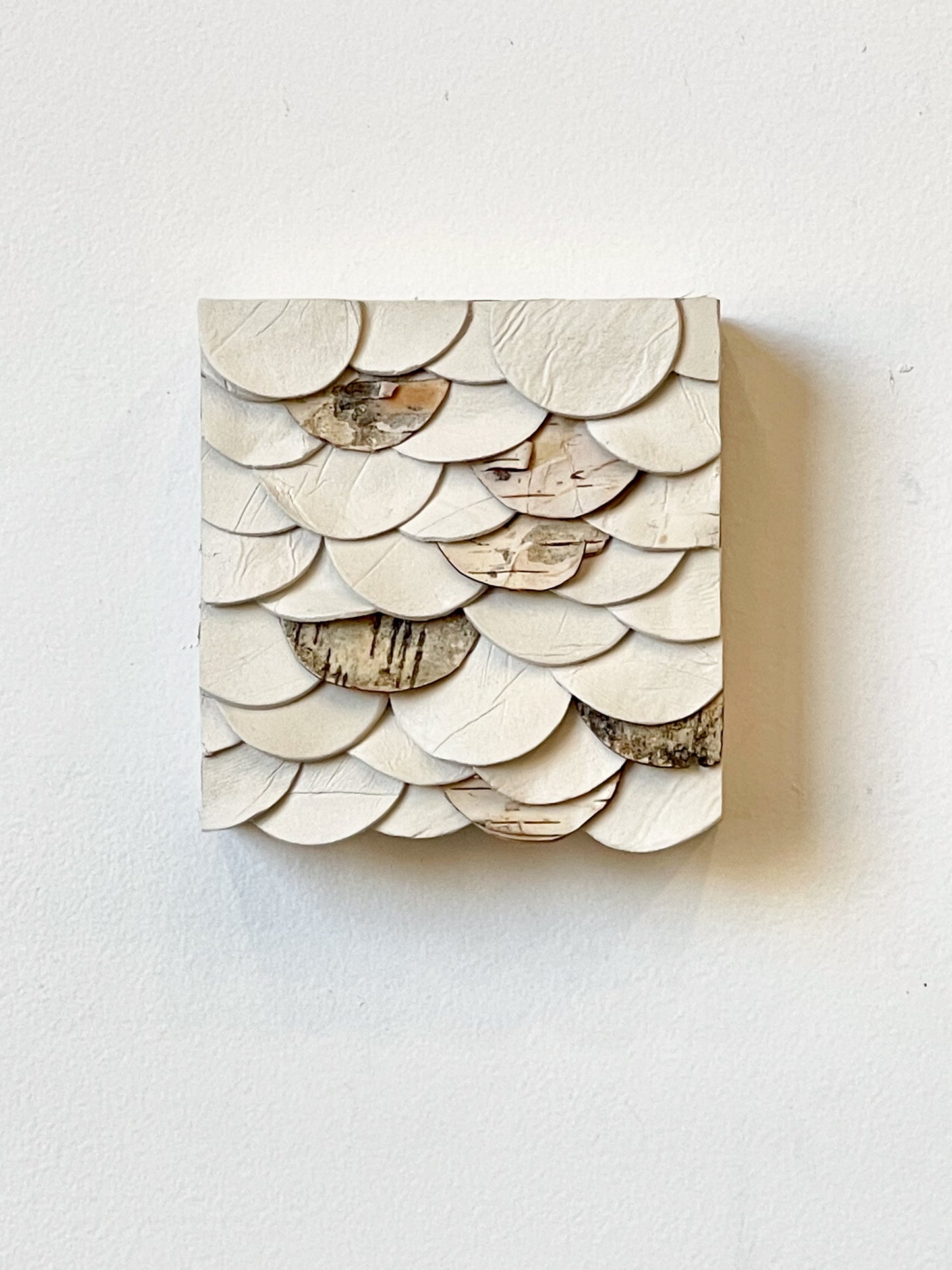 Sculptural Mini 6 | 5" x 5"