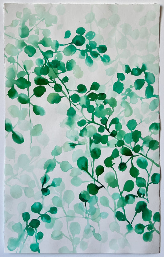 Shadow Play 3 | 32" x 20"