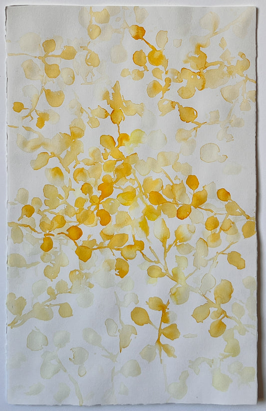Shadow Play 4 | 32" x 20"